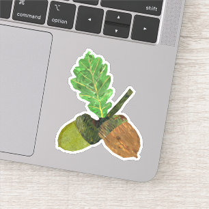 Acorn Sticker