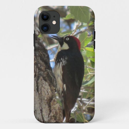 Acorn Woodpecker iPhone Case (Achterkant)