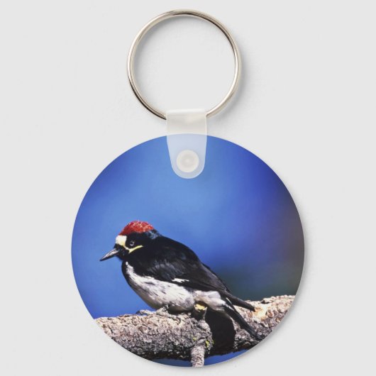 Acorn Woodpecker Sleutelhanger (Voorkant)