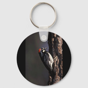 Acorn Woodpecker Sleutelhanger