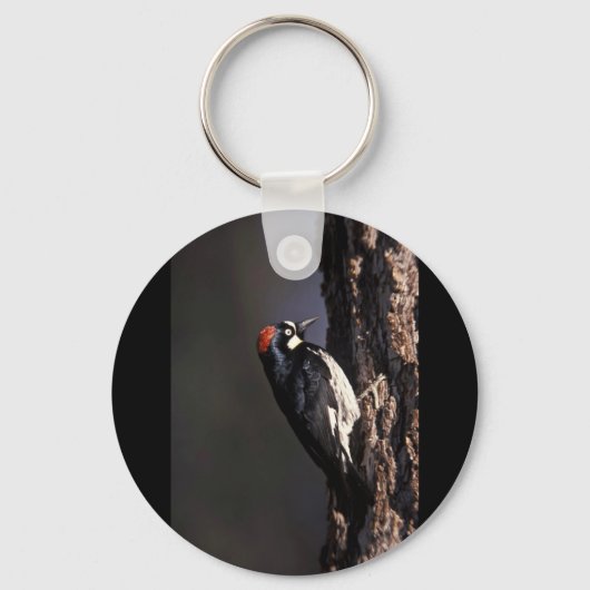 Acorn Woodpecker Sleutelhanger (Voorkant)