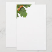 Acorns Briefpapier (Voorkant / Achterkant)
