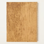 Acoustic Guitar (Dos)