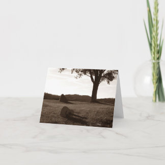 Acoustic Guitar Posing Kaart