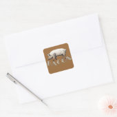 Acrobat BACON Pig Vierkante Sticker (Envelop)
