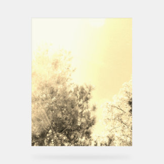 ACRYL TEKEN KOELE ECO STIJL ONTWERP ACRYL BORD