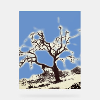 ACRYL TEKEN KOELE ECO STIJL ONTWERP ACRYL BORD