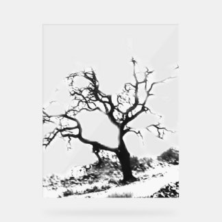 ACRYL TEKEN KOELE ECO STIJL ONTWERP ACRYL BORD