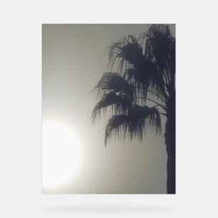 Acryl teken PALM TREE DESIGN STIJL Bord