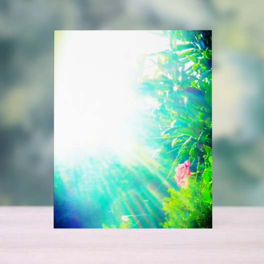 ACRYL TEKEN ROOS ONTWERPSTIJL ACRYL BORD (Neutraal)