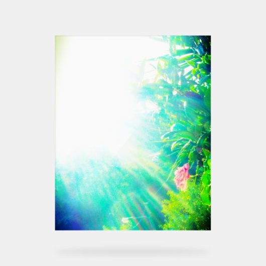 ACRYL TEKEN ROOS ONTWERPSTIJL BORD (Voorkant)