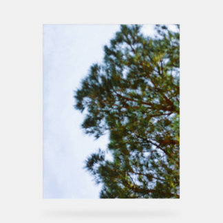 Acrylbord  acryl bord