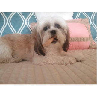 Acrylfoto-beeldbeeldbeeldhouwerij Staand Fotobeeldje