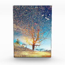 Acrylfotoblok van 5 x 7 inch | | Cherry Tree Puddl Fotoblokken