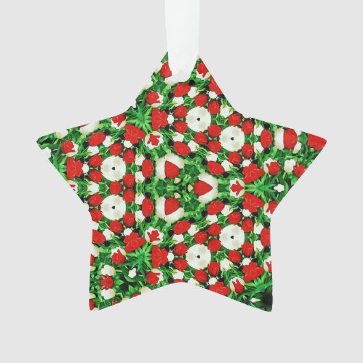 Acrylic Ornament (voorkant)