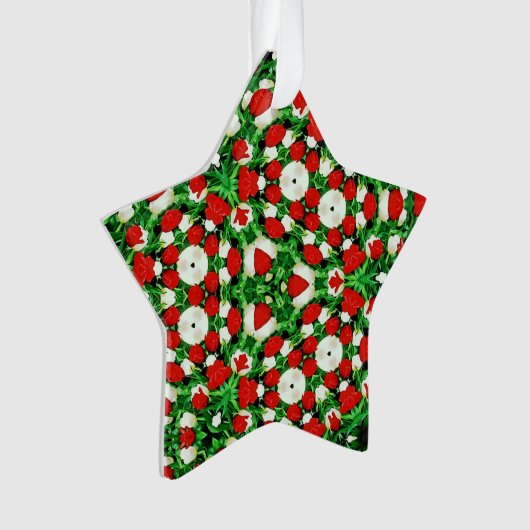 Acrylic Ornament (voorkant)