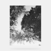 Acrylic Sign  (Recto)