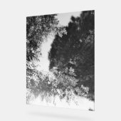 Acrylic Sign  (Angle)