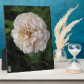 Acrylic Wall Art Fotoplaat (Zijkant)