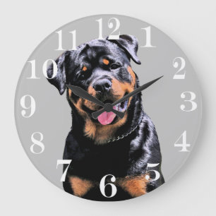 Acrylic Wall Clock Grote Klok