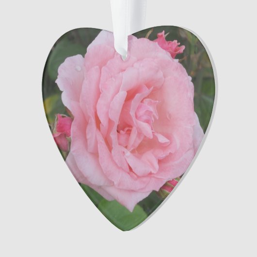 Acrylique rose classique (devant)