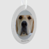 Acrylkerstfotoversiering Ornament (voorkant)