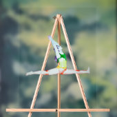 Acrylschild – Hanumanasana Acryl Bord (Neutraal)