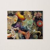 Actiniae par Ernst Haeckel Jigsaw Puzzle (Horizontal)
