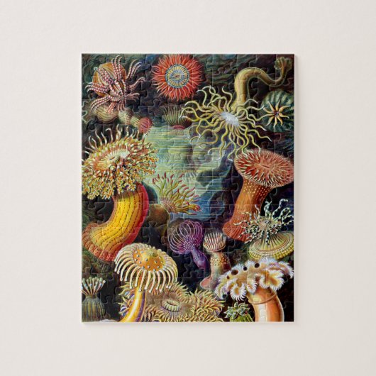 Actiniae par Ernst Haeckel Jigsaw Puzzle (Vertical)
