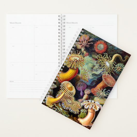 Actiniae par Ernst Haeckel Planner (Devant avec enveloppe)