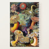 Actiniae par Ernst Haeckel Planner (Dos)