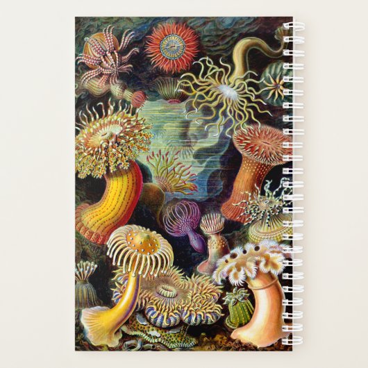 Actiniae par Ernst Haeckel Planner (Dos)
