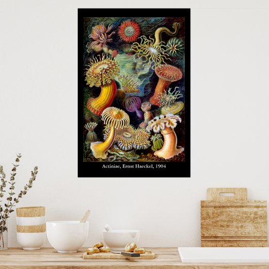 Actiniae par Ernst Haeckel Poster (Cuisine)