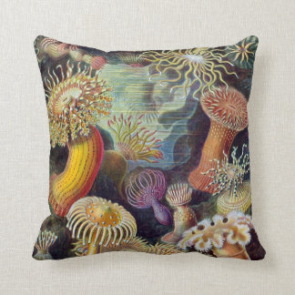 Actiniae van Ernst Haeckel Kussen
