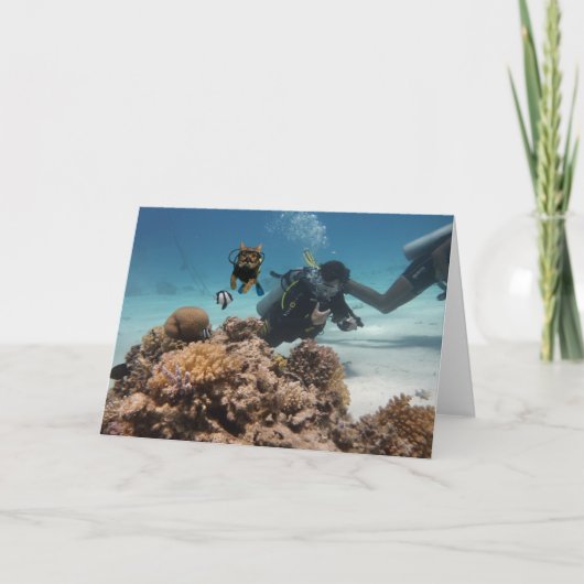 Action Cats! Card Kaart (Voorkant)