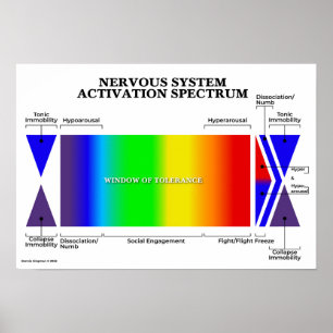 Activeringsspectrum van het zenuwstelsel poster