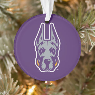 Activiteiten in de omgeving van Albany Great Dane  Ornament