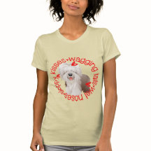 Activiteiten in de omgeving van Bearded Collie Slo