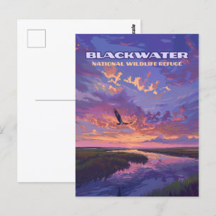 Activiteiten in de omgeving van Blackwater Nationa Briefkaart