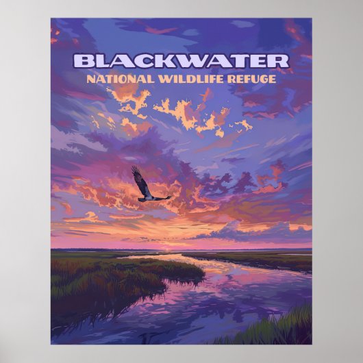 Activiteiten in de omgeving van Blackwater Nationa Poster (Voorkant)