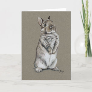 Activiteiten in de omgeving van Bunny Rabbit Sitti Feestdagen Kaart