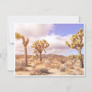 Activiteiten in de omgeving van California Joshua Briefkaart
