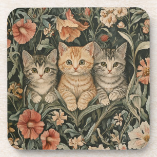 Activiteiten in de omgeving van Cats in a William Bier Onderzetter