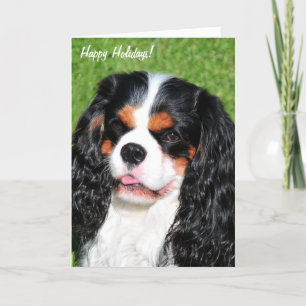 Activiteiten in de omgeving van Cavalier King Char Feestdagen Kaart