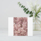 Activiteiten in de omgeving van Cherry Blossoms Tr Briefkaart (Staand voorkant)