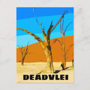 Activiteiten in de omgeving van Deadvlei Namibia T Briefkaart