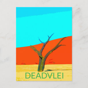 Activiteiten in de omgeving van Deadvlei Namibia T Briefkaart