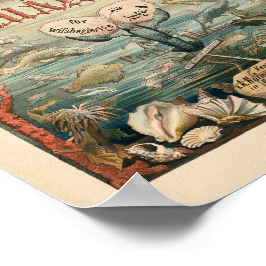 Activiteiten in de omgeving van Die Reise's Meer, Poster (Hoek)