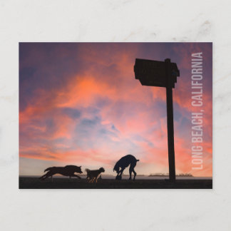 Activiteiten in de omgeving van Dog Beach at Sunse Briefkaart