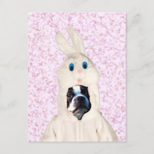 Activiteiten in de omgeving van Easter Bunny Bosto Feestdagenkaart